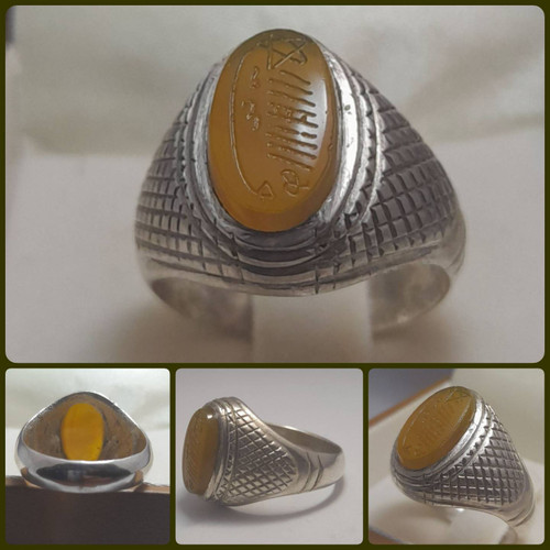 خرید شرف الشمس کوچک و خوشدست